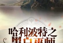 哈利波特之黑白巫师小说最新章节在哪里可以读到？-书格格