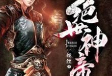 林尘林雪瑶小说《绝世神帝》在线阅读-书格格