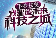 完结版《下乡扶贫，我建造未来科技之城》在线免费阅读-书格格