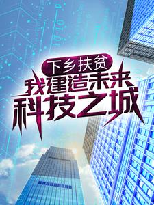 完结版《下乡扶贫，我建造未来科技之城》在线免费阅读