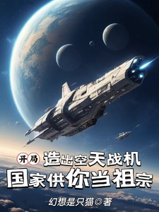 开局造空天战机，国家供你当祖宗（映南安然）在线免费阅读