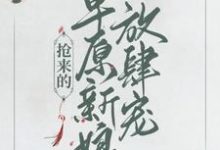 《抢来的草原新娘放肆宠》全集免费在线阅读（乔灵儿赤烈尧）-书格格