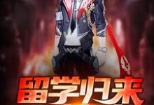 留学归来造核武小说阅读，留学归来造核武完结版-书格格