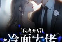 完结版《我离开后，冷面大佬红了眼眶》在线免费阅读-书格格