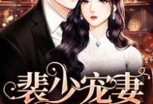 完结版《裴少宠妻太甜蜜》章节阅读-书格格