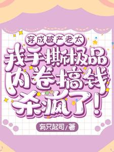 穿成破产老太，我手撕极品内卷搞钱杀疯了！小说，穿成破产老太，我手撕极品内卷搞钱杀疯了！裴锦沈云柏