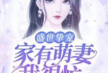 已完结小说《盛世挚宠：家有萌妻我很忙》章节免费阅读-书格格