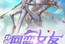 完结版《我的网恋女友竟是仙尊大佬》在线免费阅读-书格格