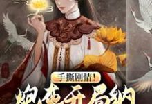 完结版《手撕剧情！炮灰开局纳主角老祖为妾》章节阅读-书格格