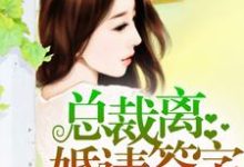 完结版《总裁，离婚请签字》在线免费阅读-书格格