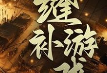 缝补游戏章节免费在线阅读， 陈木 夏天完结版-书格格