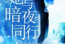 完结版《她与暗夜同行》免费阅读-书格格