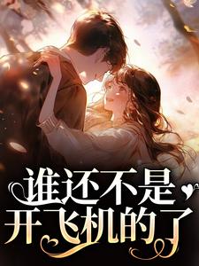 完结版《谁还不是开飞机的了》在线免费阅读