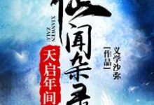 《天启年间仙闻杂录》小说大结局免费试读 陈后儒离火神丐小说-书格格