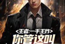 完结版《王者：一手王炸，你管这叫职业首发》免费阅读-书格格