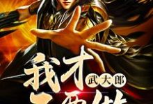 《我才不要做武大郎》全集免费在线阅读（武一方杰）-书格格