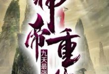 《神帝重生：九天最强赘婿》小说大结局免费试读 叶尘林家叶清逸小说-书格格