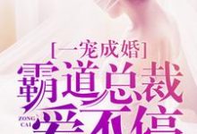 完结版《一宠成婚：霸道总裁爱不停》章节阅读-书格格