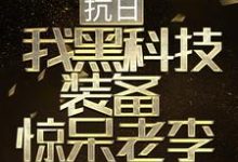 抗日：我黑科技装备惊呆老李胡从戎秦蓉，抗日：我黑科技装备惊呆老李小说免费阅读-书格格