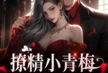 完结版《撩精小青梅：竹马队长超宠》章节目录在线阅读-书格格