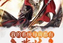 完结版《玄幻：我的系统每周都有免费装备》章节目录在线阅读-书格格