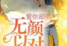 爱你却无颜以对章节免费在线阅读，苏洛雨江昊完结版-书格格