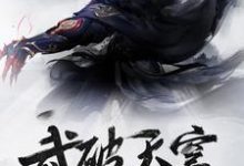 《武破天穹》小说章节列表免费试读，赵逸尘林火儿陈晨殷璃小说在线阅读-书格格