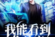 完结版《我能看到收益率》免费阅读-书格格