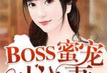 求BOSS蜜宠小小妻小说免费资源-书格格