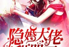 完结版《隐婚大佬甜哭了》章节阅读-书格格