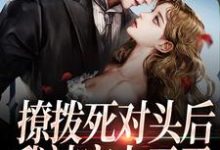 完结版《撩拨死对头后，我被宠上天了》免费阅读-书格格