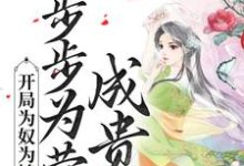 小说《开局为奴为婢，步步为营成贵妃》章节免费阅读-书格格