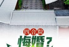 四合院：悔婚？感谢不嫁之恩这本小说完结了吗？免费查看最新章节-书格格