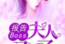 报告Boss：夫人又怀了小说最新更新在哪里？免费在线看-书格格