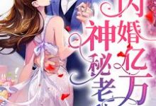 完结版《闪婚亿万神秘老公》章节目录在线阅读-书格格