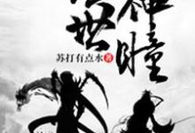 完结版《绝世神瞳》在线免费阅读-书格格