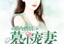 小说《慕少宠妻甜蜜蜜》在线章节阅读-书格格