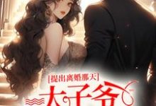 完结版《提出离婚那天，太子爷满城找夫人》免费阅读-书格格