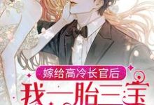 完结版《嫁给高冷长官后，我一胎三宝被团宠了》免费阅读-书格格