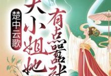 小说《楚中云歌：大小姐她有点嚣张》章节免费阅读-书格格