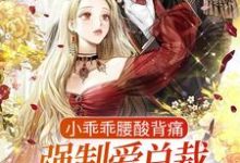 完结版《小乖乖腰酸背痛，强制爱总裁是疯批》章节阅读-书格格