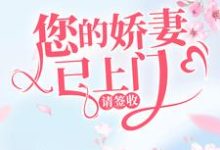 韩星陆听闻小说叫什么（您的娇妻已上门，请签收免费阅读）-书格格