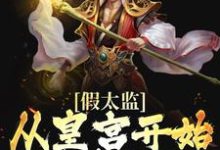 完结版《假太监：从皇宫开始纵横天下》章节目录在线阅读-书格格