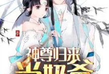 完结版《神尊归来当奶爸》章节目录在线阅读-书格格