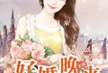 完结版《好婚晚来》章节目录在线阅读-书格格