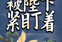 完结版《小太监她被陛下紧盯着》章节目录在线阅读-书格格