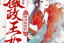 完结版《摄政王妃她身娇体软》免费阅读-书格格