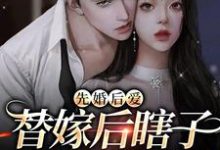 完结版《先婚后爱：替嫁后瞎子老公复明了》免费阅读-书格格