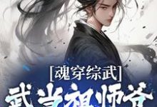 张三丰小说《魂穿综武：武当祖师爷出山了》在线阅读-书格格