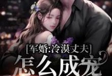 完结版《军婚：冷漠丈夫怎么成宠妻狂魔了》章节阅读-书格格